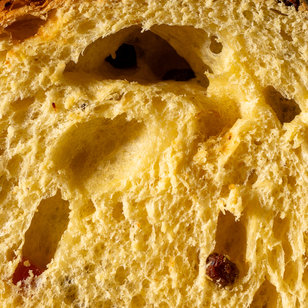 Panettone artigianale tradizionale - Senza lattosio