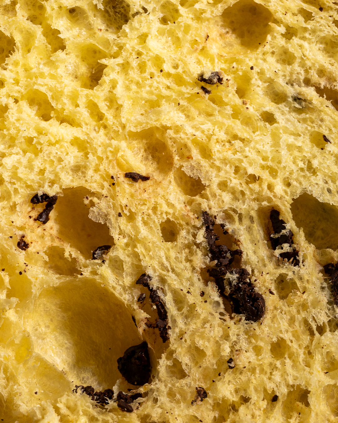 EXTRA FONDENTE | Panettone artigianale da 1kg